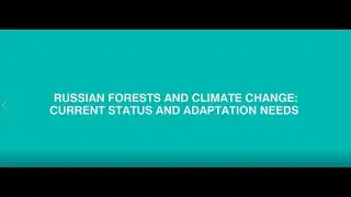 Russian forests and climate change: current status and adaptation needs