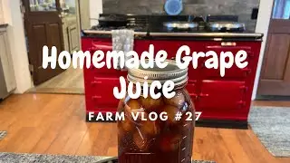 Homemade Grape Juice | Preserving Grapes | Canning Fruit