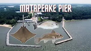 Fishing Matapeake Pier | Chesapeake Bay MD (Sting Ray, Spot, Croaker)