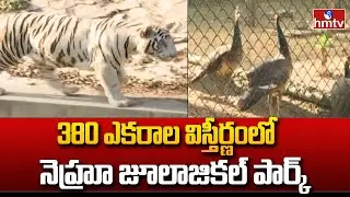 Nehru zoo Park :  380 ఎకరాల విస్తీర్ణంలో నెహ్రూ జూలాజికల్ పార్క్ | hmtv