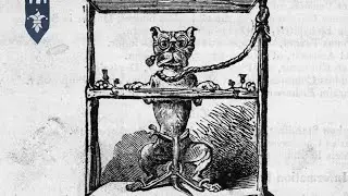 Convicting & Sentencing Animals to Death During The Middle Ages
