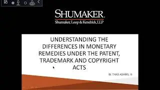Treatment for Profits and Damages under the Patent, Trademark and Copyright Statutes