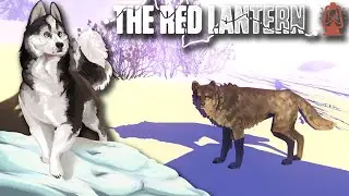 Watched Over By Wild WOLVES!! 🐕🛷 The Red Lantern • #34