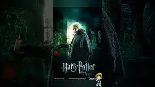 Seven Harry Potter Character  Who Make Great Hogwarts Proffesors  @harrypotter