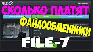 Сколько платят файлообменники.File-7