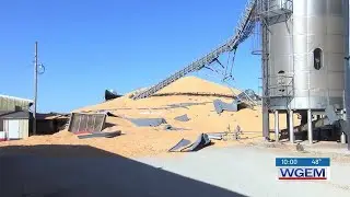 Large grain bin in Camden collapses