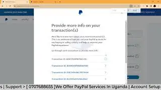 How To Provide More Info About Your transactions On PayPal In Uganda