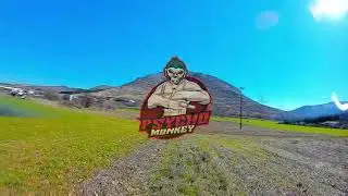 RAW DVR Very soft control..? 3D Mode FPV