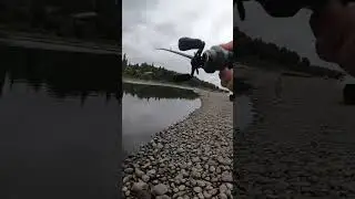 My first top water catch! #bassfishing #smallmouthbass #topwater #popper #shorts #ytshorts #fyp