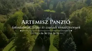 Artemisz Panzi&oacute;, Tapolca-Diszel