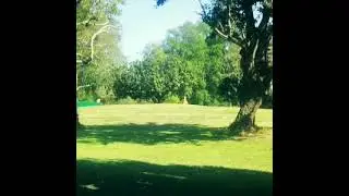 ACE RUN, DISCRAFT ESP MALTA,  ELDORADO PARK DISC GOLF COURSE LONG BEACH CA. DISCSTROY. J.W