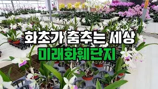 부산 미래화훼단지 - 화초가 춤추는 세상