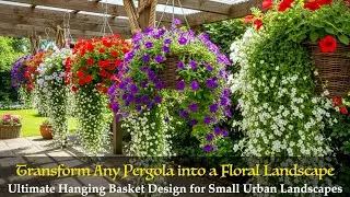 Fast-Fill Plants: Instant Impact Hanging Baskets for Your Landscape Makeover
