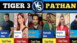 Tiger 3 Star Cast Fees v/s Pathan Star Cast Fees | Tiger 3 Salman Khan Fees | Pathan Shahrukh  Fees