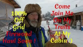 Заготовка дров для хижины, подготовка тропы ?? #автономноежизньХолоднаяАльберта!! S4,E127