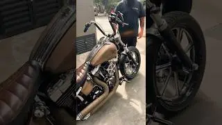 ROLE DE FATBOY EM SAMPA #motovlog #duasrodas #harleydavidson #fatboy #acelerando #saopaulo #harley