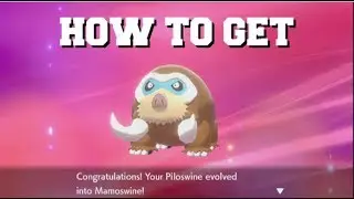 HOW TO EVOLVE PILOSWINE INTO MAMOSWINE IN POKEMON SWORD AND SHIELD (BEST METHOD)