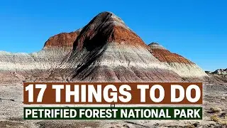 Petrified Forest National Park - 17 Things To Do