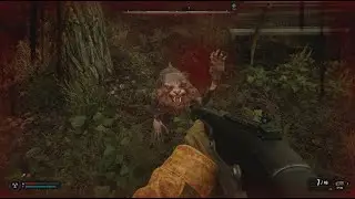 S.T.A.L.K.E.R. 2: DEAD FREQUENCY. Bring the Ward Sensors to Star. CROWN ARTIFACT