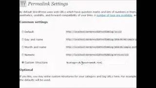 Wordpress Tutorials Permalink Settings  Vid 20 by Purple Turtle