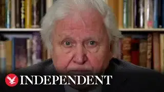Treat climate change as &lsquo;global security threat&rsquo;, David Attenborough urges