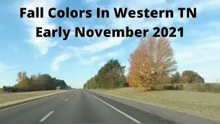 Fall Colors Along I 40 In Western Tennessee In Early November 2021