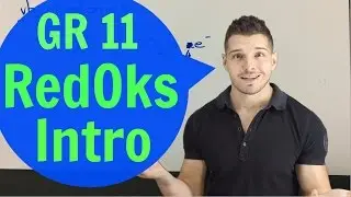 Gr 11 Chemie : Redoksreaksies - Intro