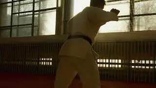 Martial Arts Stock Footage 4K | No Copyright Footage