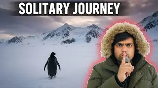 Viral Penguin video| Penguin| Why Everyone Comparing Their Life With Penguin Explained In Kannada