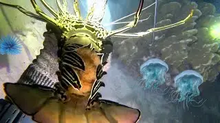 Catching Many Lobsters at Night &ndash; Diving for Seafood Adventure with Crabs, Squid, and Ocean Harvest