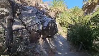 Preveli beach/Palm forrest/Rethymno/Plakias/Crete /Greece 🌴 🇬🇷 Walking tour/4K 30-08-2025.