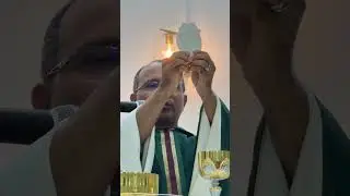 📌 (24/01) - Santa Missa do 3&deg; Domingo do Tempo Comum na Igreja Matriz, @pecarlosconceicao