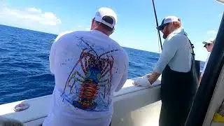 4 for 5 Daytime Swordfish Gulf of Mexico