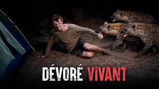 Les attaques de hy&egrave;nes les plus mortelles
