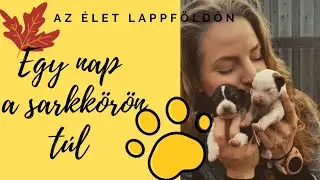 Miért élek az Északi Sarkkör felett és mit csinálok 108 kutyával?