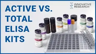 Choosing Between Active and Total ELISA Kits | Innovative Research