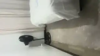 Bug tour of our house