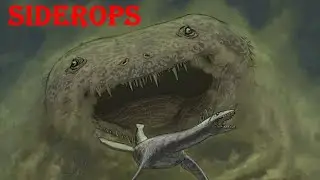 Siderops