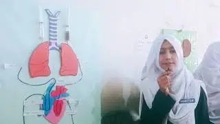 Circulation of blood in human body(presentation & model)