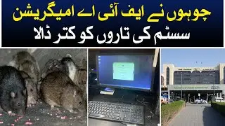 Rats cut wires of FIA immigration system at Jinnah International Airport - Aaj News