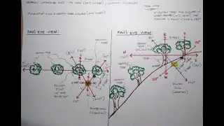 #20 : Triangulation Using 4-Century Trees Aligned - Mindanao (Kris Sniper) | GOLD DIGGER