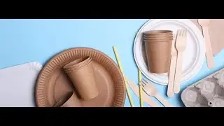 Custom Printed Disposable Food Packaging | Burger, Fries, Snack & Chicken Boxes &ndash; UPKGS
