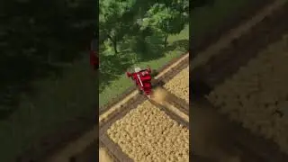 Wheat harvest |  Farming Simulator 25
