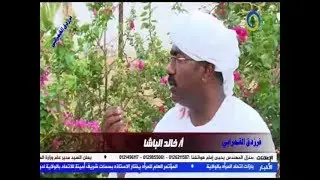 خالد الباشا وذكاء محمد النصري