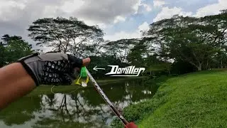 EXP DOMILLER Field Test | Strike Mama Haruan Monster! - #v187