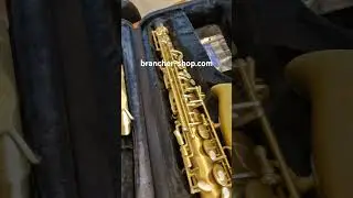#Brancher Alto #saxophone #sax #saxplayer #altosax #saxbrancher #jazz #music #bestsaxophone