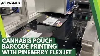 Pineberry FlexPrint System Labeling Cannabis Excise Stamp and Printing Barcode on CR Pouches