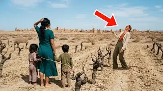 Alla vedova, la padrona lasciò solo una vigna secca come pagamento per 17 anni di lavoro — ma lei