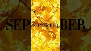 🎵 Mike Murray &ndash; &ldquo;September&rdquo; | Smooth Jazz Groove &bull; Tranquility CD (Official Promo)