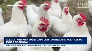 Not&iacute;cias destaque do Portal MAB - Mundo Agro Brasil - Programa 22